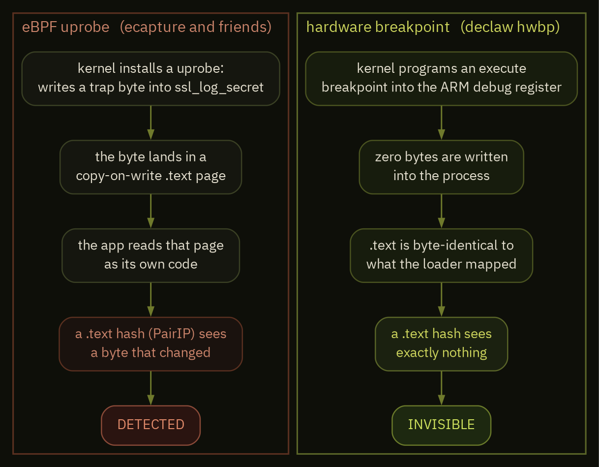 why the debug register is invisible where an eBPF uprobe is not: the uprobe writes a trap byte a .text hash can see, the breakpoint writes nothing